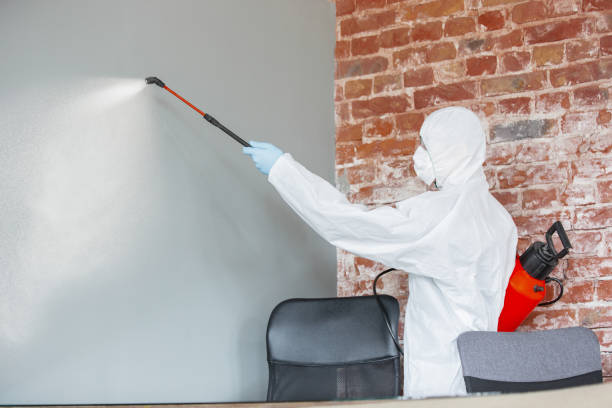 Environmental Consulting for Mold Prevention in Mount Shasta, CA